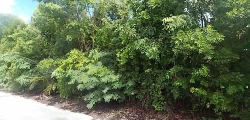 MOUNT CURTIS DR, STELLA M