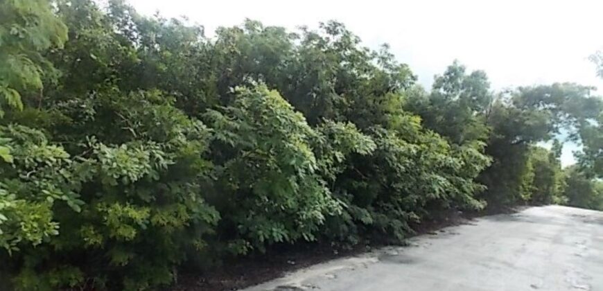 MOUNT CURTIS DR, STELLA M
