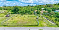 LOT B, STEDE BONNET ROAD LOT B, STEDE BONNET ROAD
