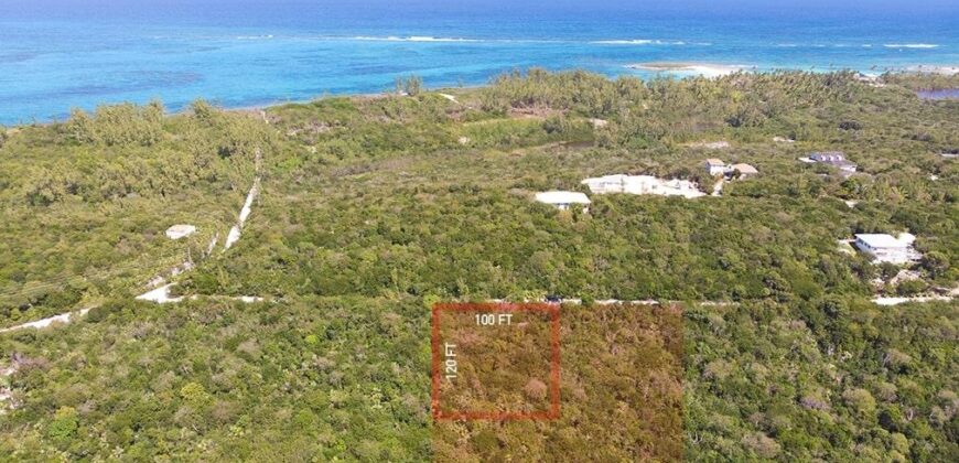 CIGATOO ESTATES, GOVERNOR CIGATOO ESTATES, GOVERNOR