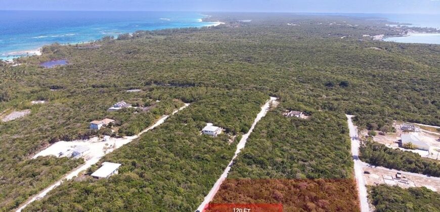 CIGATOO ESTATES, GOVERNOR CIGATOO ESTATES, GOVERNOR