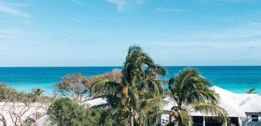 11 TRIANA SHORES