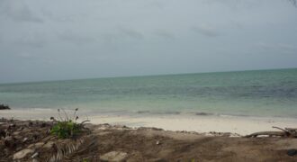 1.020 ACRES MANGROVE CAY