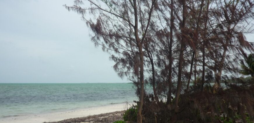 1.020 ACRES MANGROVE CAY