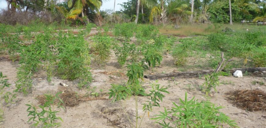 1.020 ACRES MANGROVE CAY