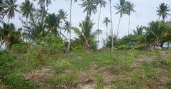 1.020 ACRES MANGROVE CAY