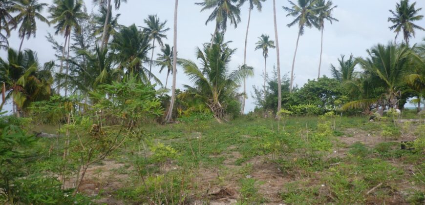 1.020 ACRES MANGROVE CAY