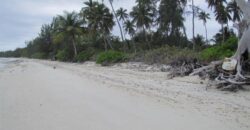 1.020 ACRES MANGROVE CAY