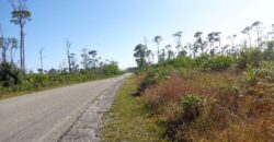 WEST BEACH DR. ARDEN FORE