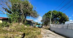 CHIPPINGHAM VACANT LOT CHIPPINGHAM VACANT LOT