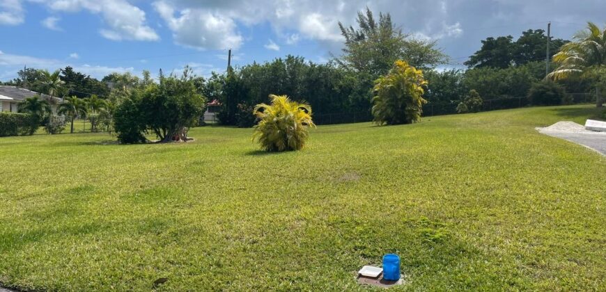 DOMINICA AVENUE