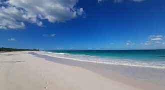 Beachfront Acreage