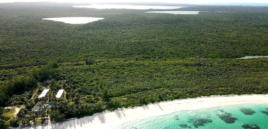 Beachfront Acreage