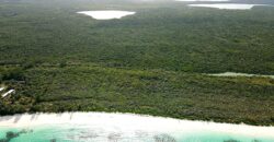 Beachfront Acreage