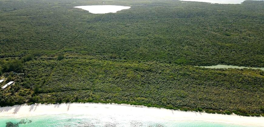 Beachfront Acreage