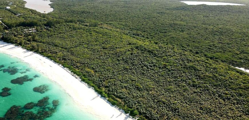 Beachfront Acreage