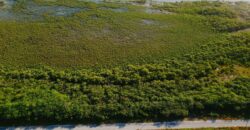 LITTLE EXUMA LOTS