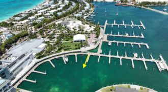 Bimini Dock Slip Bimini Dock Slip