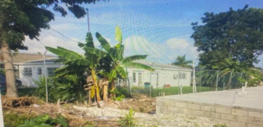 CROWN GRANT LOT 2 & 4 CROWN GRANT LOT 2 & 4