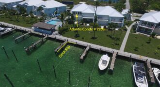 Atlantis #2208 Atlantis #2208