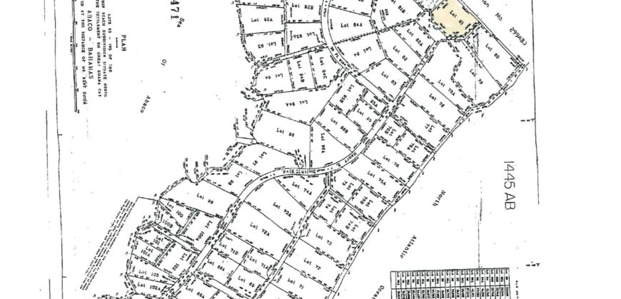 Dolphin Beach Estate