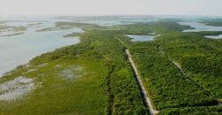 LOT 867/8/& 820/819 EXUMA LOT 867/8/& 820/819 EXUMA