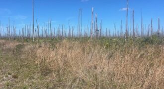 LUCAYA ESTATES LOT LUCAYA ESTATES LOT