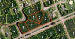 BALAO ROAD/GANYMEDE DRIVE