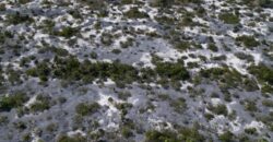 B11 CAPE SANTA MARIA