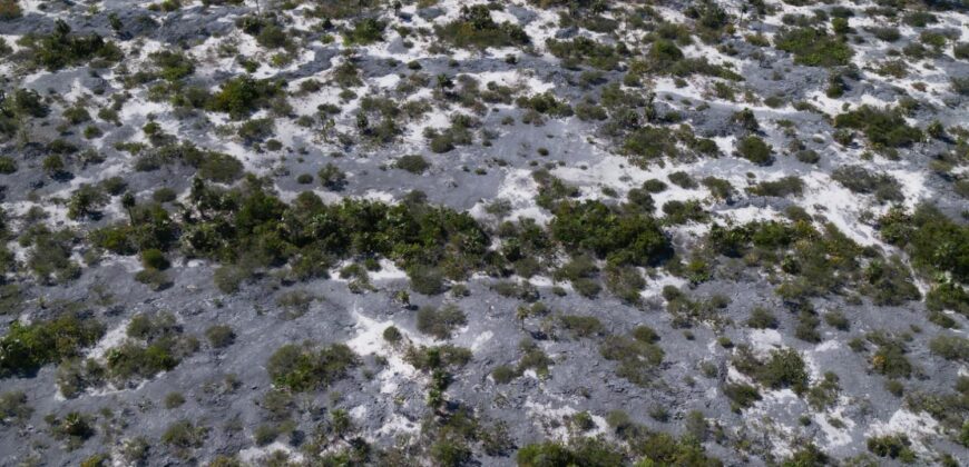 B11 CAPE SANTA MARIA