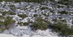 B11 CAPE SANTA MARIA