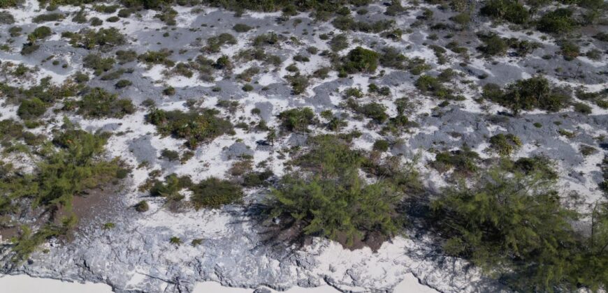 B11 CAPE SANTA MARIA