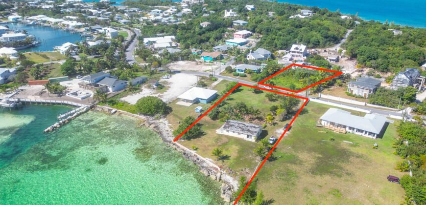 YELLOW ELDER & THE CHALET