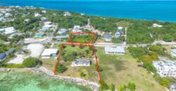 YELLOW ELDER & THE CHALET