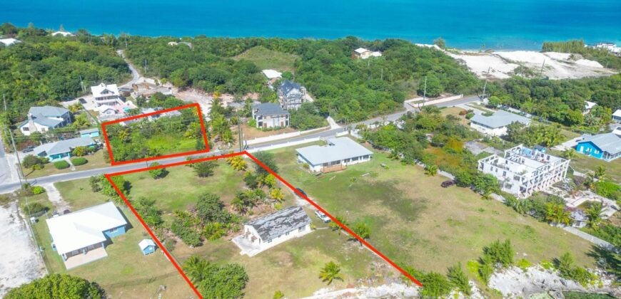 YELLOW ELDER & THE CHALET