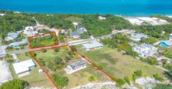 YELLOW ELDER & THE CHALET