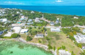 YELLOW ELDER & THE CHALET