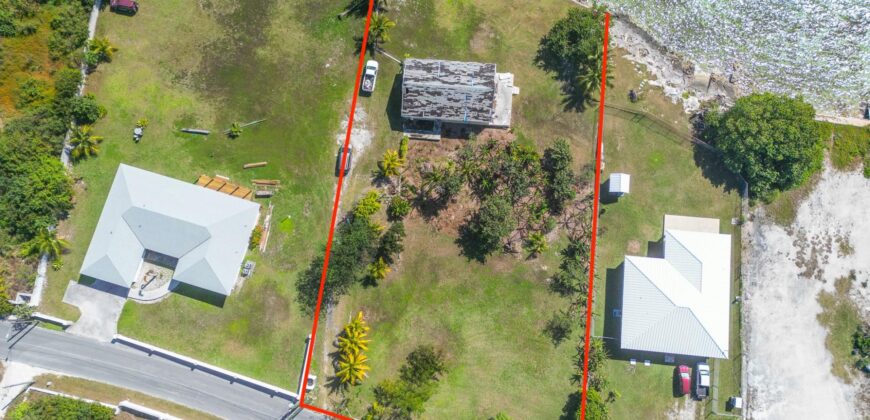 YELLOW ELDER & THE CHALET