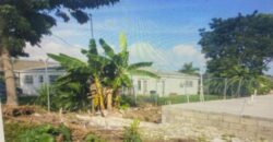 CROWN GRANT LOT 2 & 4