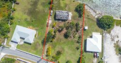 YELLOW ELDER & THE CHALET