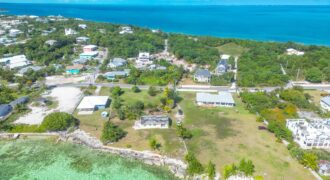 YELLOW ELDER & THE CHALET