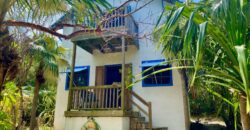 NORTH PALMETTO POINT