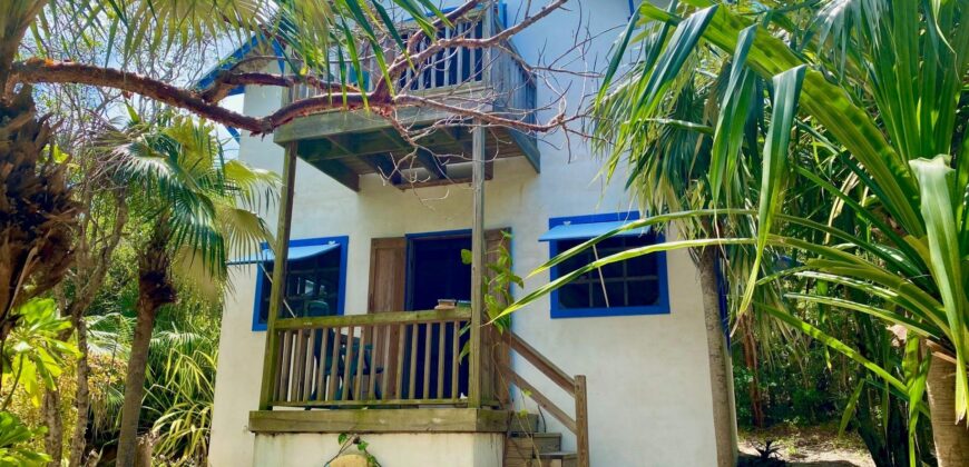 NORTH PALMETTO POINT