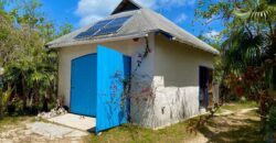 NORTH PALMETTO POINT