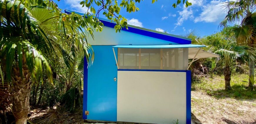 NORTH PALMETTO POINT