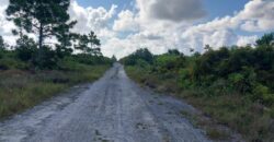 BARNETT AVENUE, HOLMES RO