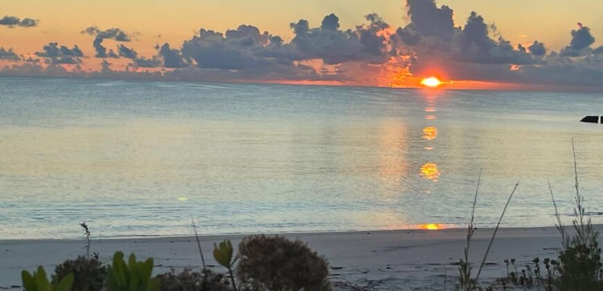 CAMPERDOWN BEACHFRONT LOT