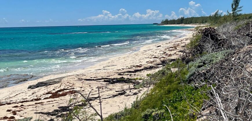 CAMPERDOWN BEACHFRONT LOT
