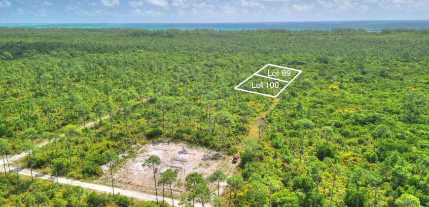 3 LOTS PINEHURST BAH PALM