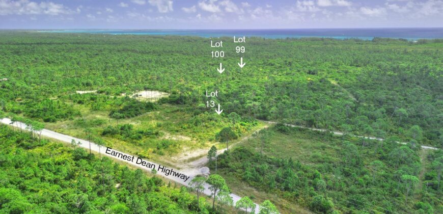 3 LOTS PINEHURST BAH PALM